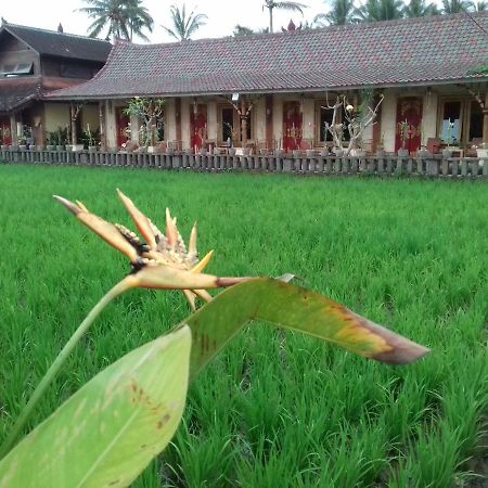 Rice Padi Artha Otel Ubud Dış mekan fotoğraf